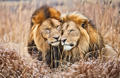 Animaux
